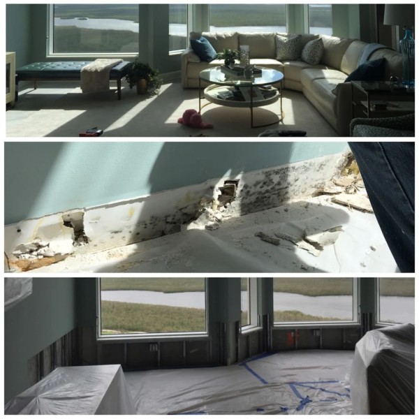 Mold Removal in Alafaya, FL (1)